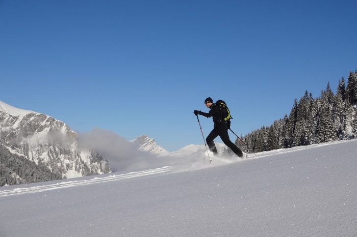 Descubre paisajes insólitos en paseos con raquetas de nieve